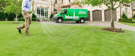 Granular Vs Liquid Pre Emergent Weed Control Which Is Better Weedex Lawn Care