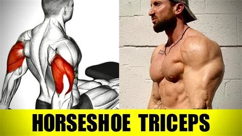 5 Must Do Exercises For Horseshoe Triceps Youtube