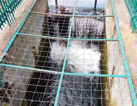 Bărbat căzut în zona de deversare apă din parcul Poroineanu salvat de