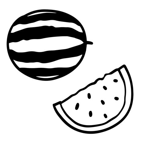 Watermelon black and white doodle sketch, vector illustration isolated ...