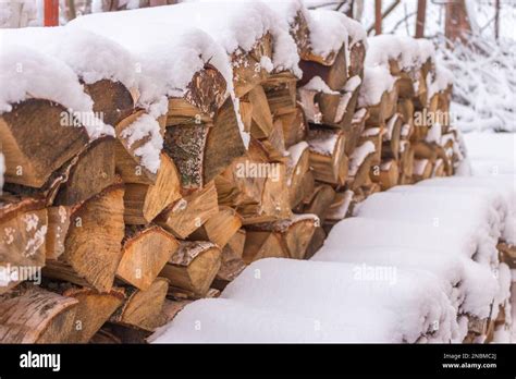 Snow Covering Logs Chopped Wood Under Snow Hardwood On Snowy Backyard