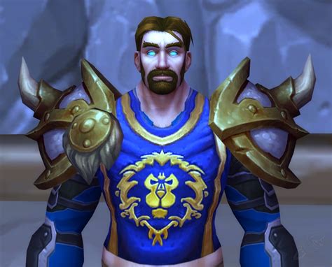 Hombreras De Oracero Objeto World Of Warcraft