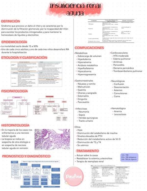 Insuficiencia Renal Aguda Paulina Mednotes UDocz