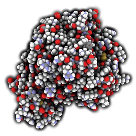 activated coagulation factor vii fviia chemical structure plays