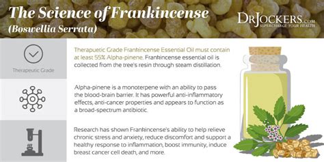 Top 10 Surprising Uses For Frankincense Oil - DrJockers.com