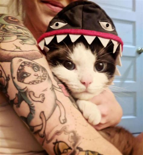 Cat In A Shark Costume Shark Costumes Cute Animals Cats