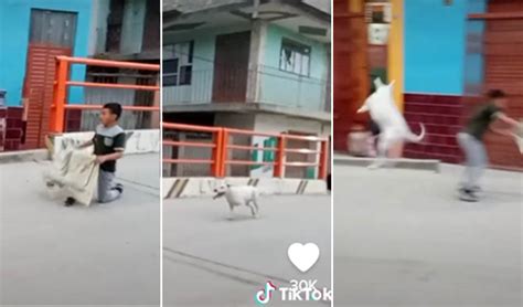 Tiktok viral niño juega con su perro y protagonizan una singular