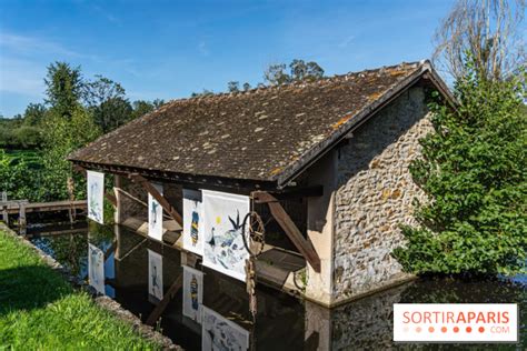 Les plus beaux lavoirs de la Vallée de Chevreuse investis par des