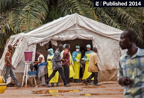 Tracing Ebolas Breakout To An African 2 Year Old The New York Times