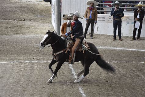 Charreada De Gala En Rancho Verde Lagos De Moreno Jal Portal