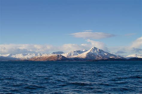 Billions Of Snow Crabs Have Disappeared From The Bering Sea Saveur