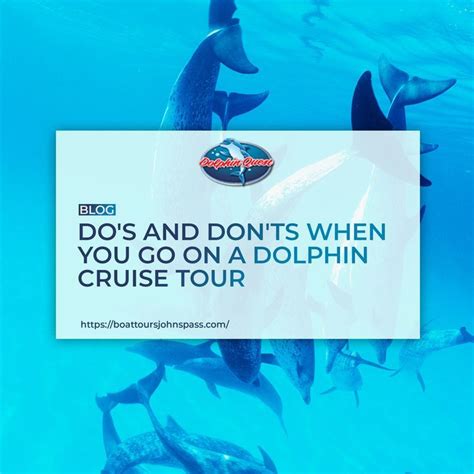 Jervis Bay Wild Accessible Dolphin Watching Cruise Jervis Bay Artofit