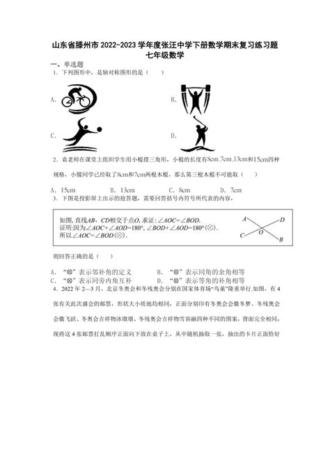 山东省滕州市张汪中学2022 2023学年下学期七年级数学期末复习练习题（无答案） 21世纪教育网