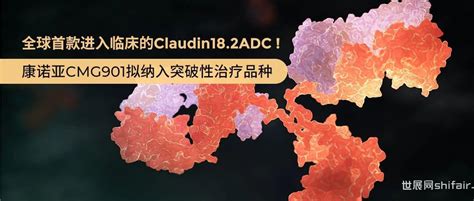 新药 全球首款进入临床的claudin182 Adc！康诺亚cmg901拟纳入突破性治疗品种 世展网