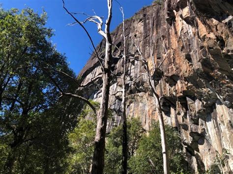 Mount Beerwah Summit Aussie Bushwalking