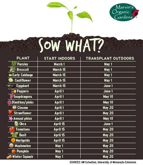 11 Best Grass Seed Germination Temperature Chart