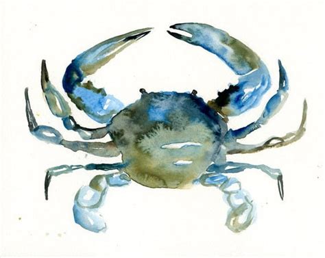 CRAB Original watercolor painting 10X8inch by dimdi on Etsy