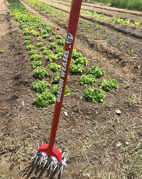 Garden Weasel Cultivator And Hand Tiller 90206 Garden Tiller With Detachable Tines Manual