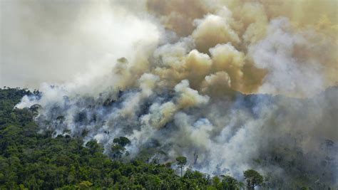 La Amazonía Brasileña Registró 5373 Incendios Forestales En Julio Y