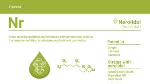 Nerolidol Terpene: Strains, Effects, Dosage, & More - Finest Labs