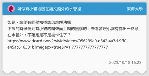 疑似有小貓被困在語文館外的水管裡 東海大學板 Dcard