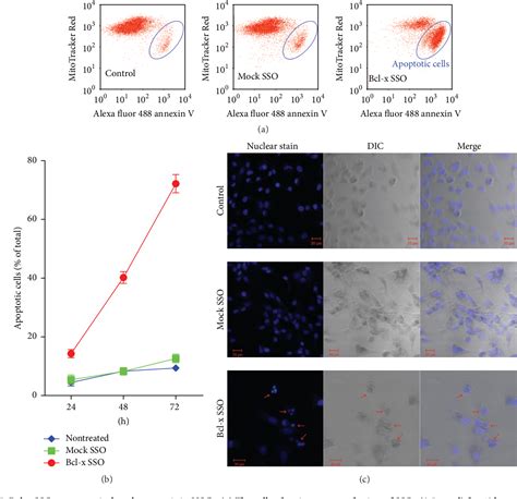 Figure From Modulation Of Bcl X Alternative Splicing Induces