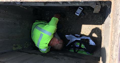 Penndot Crew Firefighters Rescue 10 Ducklings From Storm Drain Cbs