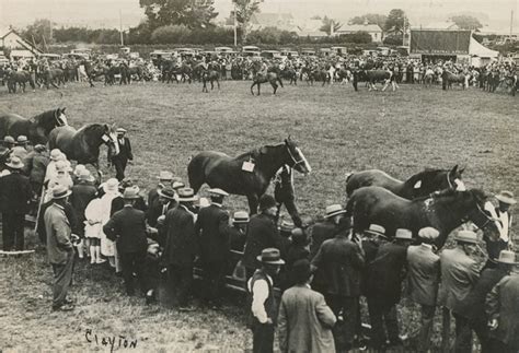 Photograph Wyndham A And P Association 1928 Clayton Gore Nz 1928 Wy