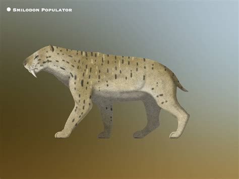 Smilodon Populator Paleohistoric By Paleohistoric On Deviantart