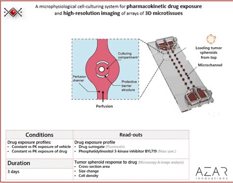 Automatic Pharmacokinetics Drug Exposure In Tumor Spheroid Chip