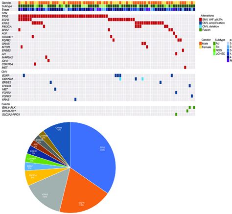 Genomic Landscape Of Ctdna Analysis With Genexus Opa System In 119