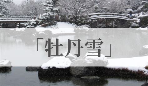 「牡丹雪」の意味や由来とは？いつの季語？俳句も紹介｜語彙力com