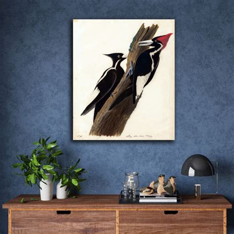 Ivory Billed Woodpecker By John James Audubon Inspicanvas
