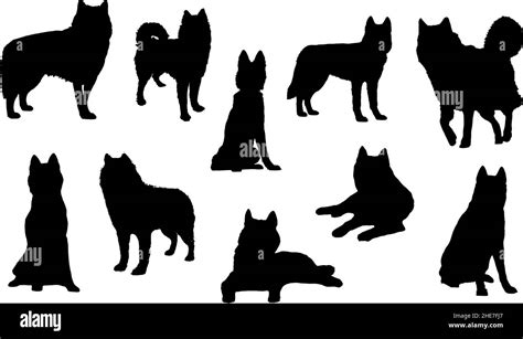 Siberian Husky Dog Silhouette Bundle Svg Stock Vector Image And Art Alamy