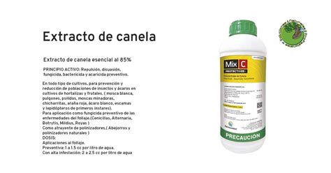 Extracto de Canela Fabricante de fertilizantes orgánicos