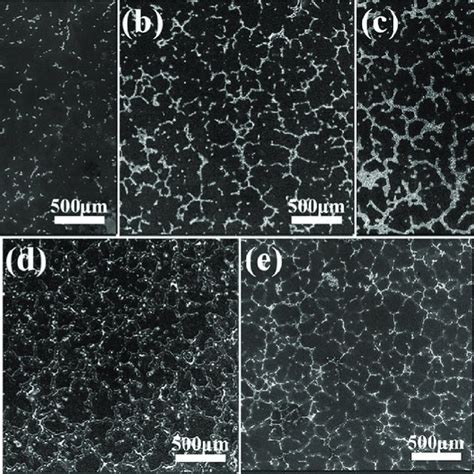 Optical Images Showing The Microstructures Of As Cast Mg 4Zn 1 5Al XSn