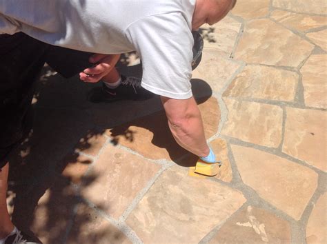 Flagstone Patio Cleaning Natural Stone Refinishing In Marin Ca