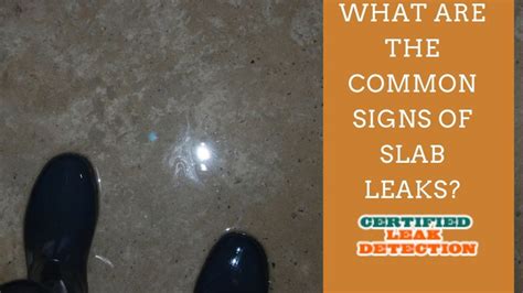 What Are the Common Signs of Slab Leaks? - Certified Leak Detection of ...