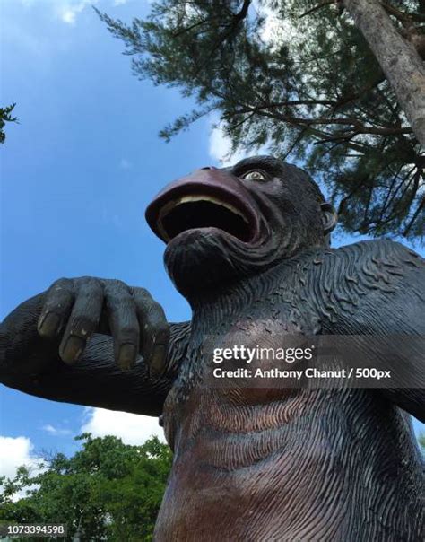 14 Prehistoric Gorilla Stock Photos High Res Pictures And Images