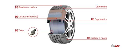Qué partes tiene un neumático carlider es