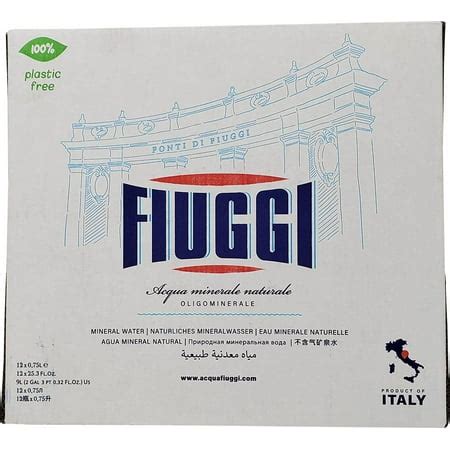 Fiuggi Natural Mineral Sparkling Water, 750ml Bottle Pack of 12 ...