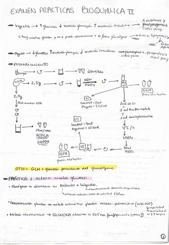 Apuntes Examen Practicas Bioquimica Ii Pdf