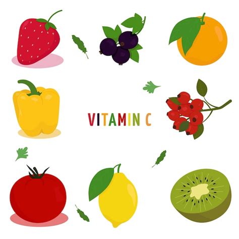 Vitamina C Ilustraci N De Vector Con Una Imagen De Frutas Y Verduras