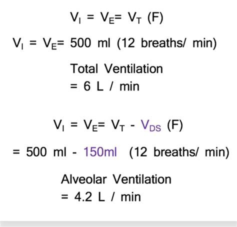 Respiratory Physiology Flashcards Quizlet