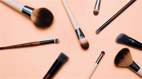 Brochas De Maquillaje ¿pelo Natural O Sintético — Radio Imagina