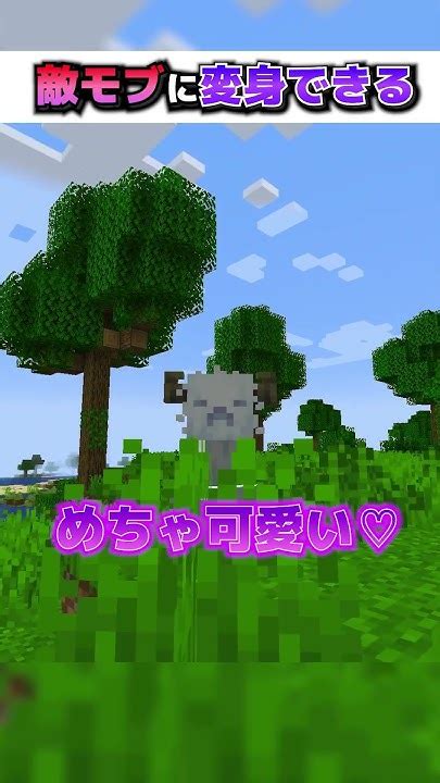 自分が倒した敵モブに『変身できる』世界！？【まいくらマインクラフトmod】 Youtube