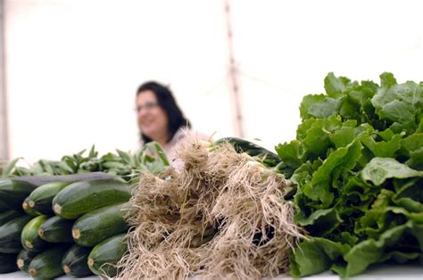 Rom Nii Tot Mai Interesa I De Alimenta Ia S N Toas