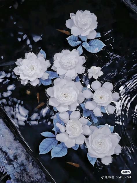 White Flowers Floating On Top Of Water In A Pond With Blue Leaves And