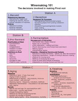 We Study Wine: Pinot Noir Winemaking 101 decision Chart from Oregon ...