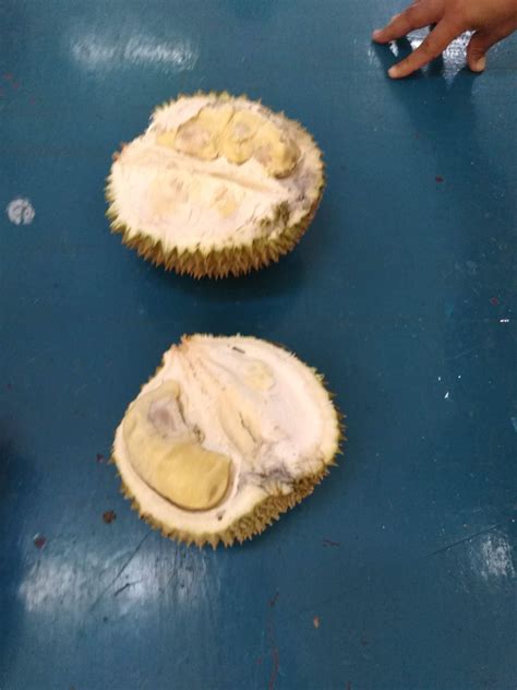 Malaysian Fruit Fun Facts: Durian – An Experience from Day 3 in # ...